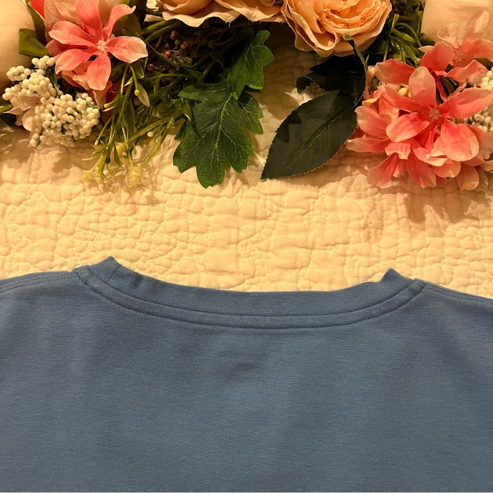 Patagonia Organic Cotton Thick Short Sleeve Tee - Blue - Picture 11 of 13
